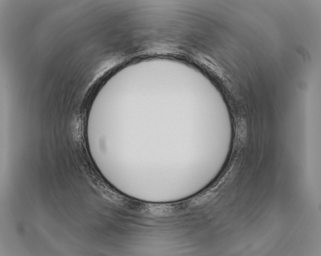 X0000110921258200907301555