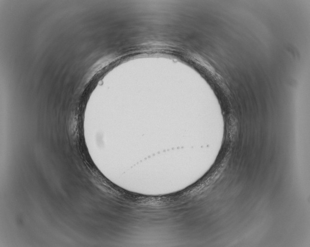 X0000110921259200907301555