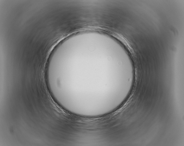 X0000110921260200907301555