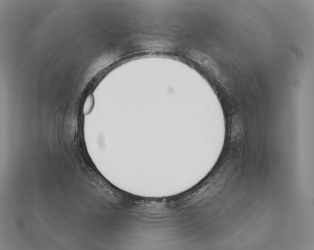 X0000110921261200907301555