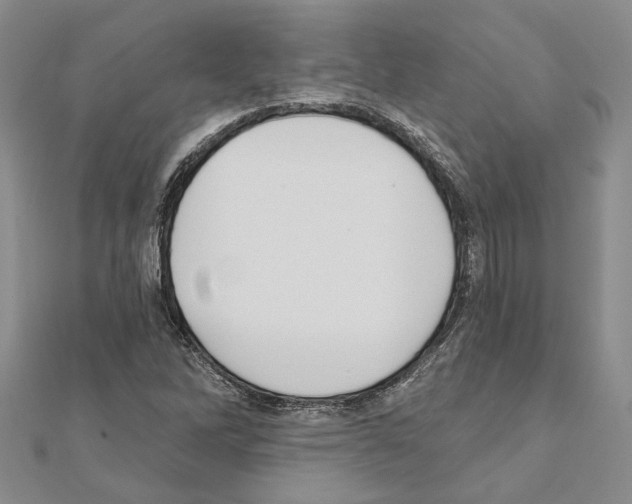 X0000110921262200907301555