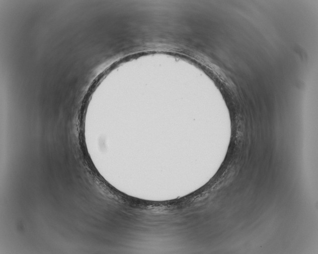 X0000110921264200907301555