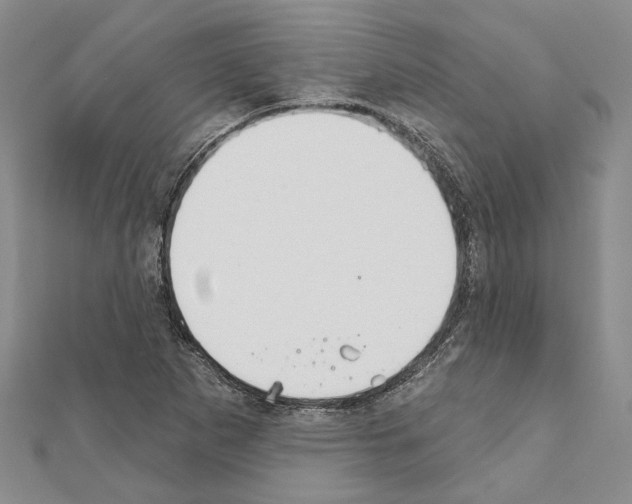 X0000110921265200907301555