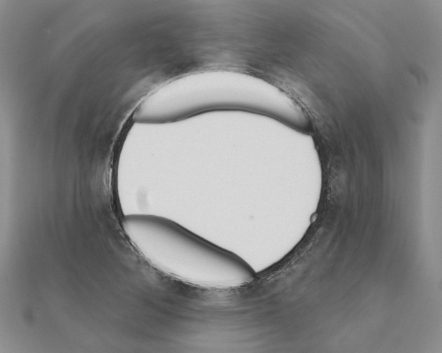 X0000110921268200907301555