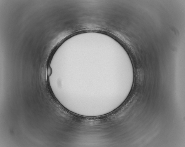 X0000110921269200907301555