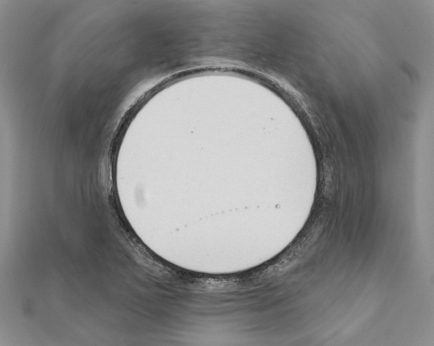 X0000110921271200907301555