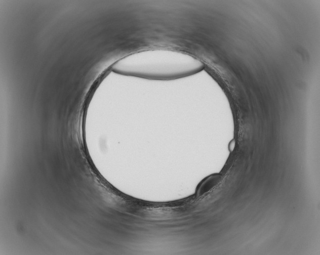 X0000110921272200907301555