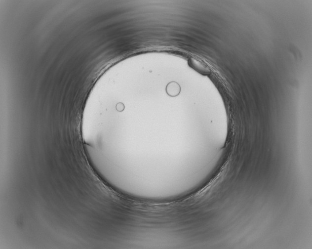 X0000110921273200907301555