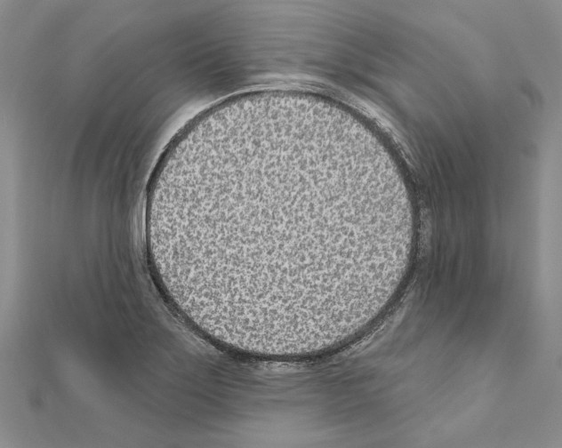 X0000110921275200907301555