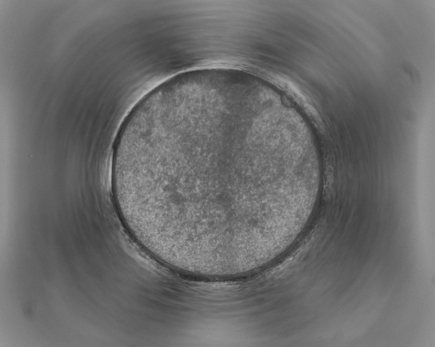 X0000110921276200907301555