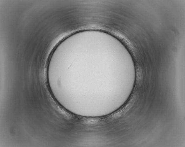 X0000110921278200907301555