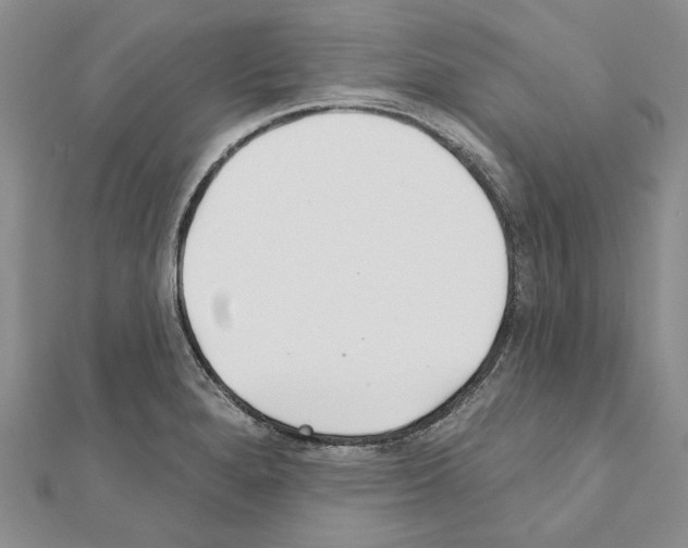 X0000110921280200907301555