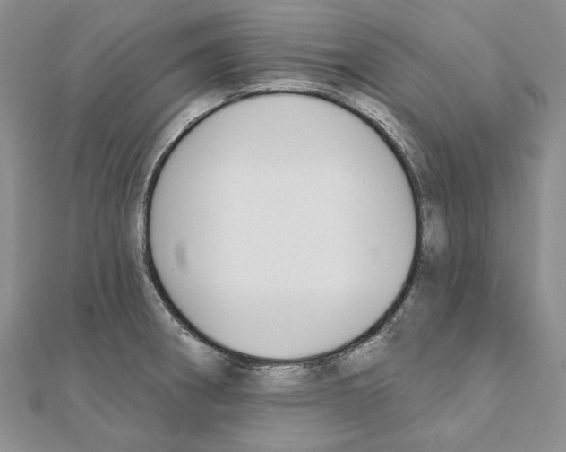 X0000110921282200907301555