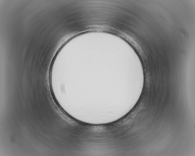 X0000110921283200907301555