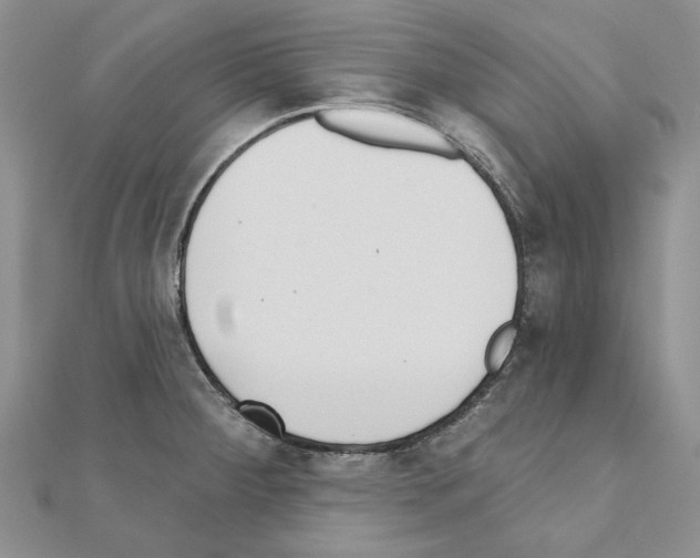 X0000110921284200907301555