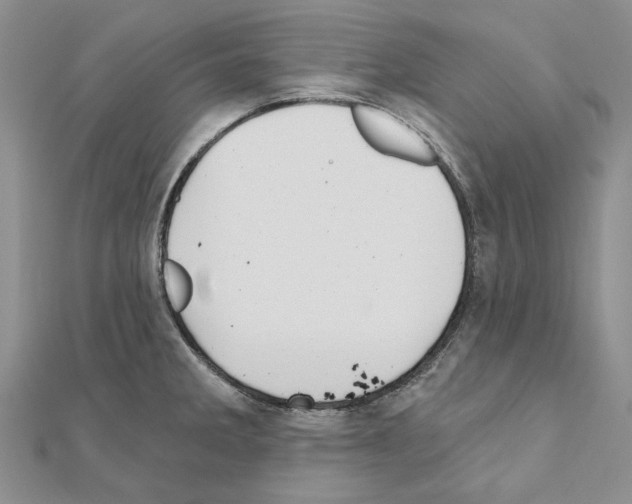 X0000110921285200907301555