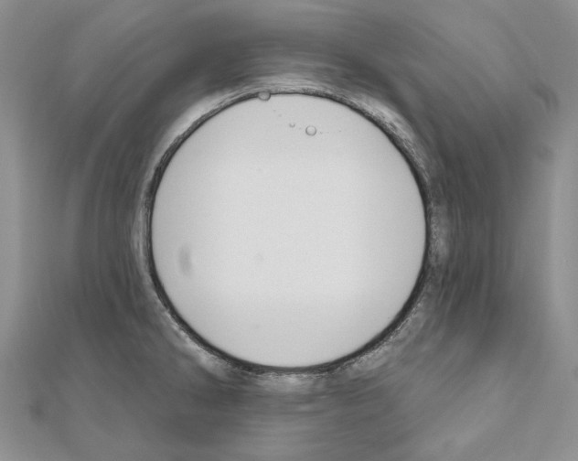 X0000110921286200907301555