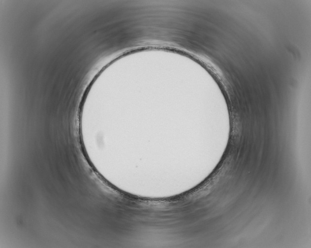 X0000110921287200907301555