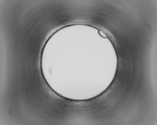 X0000110921288200907301555