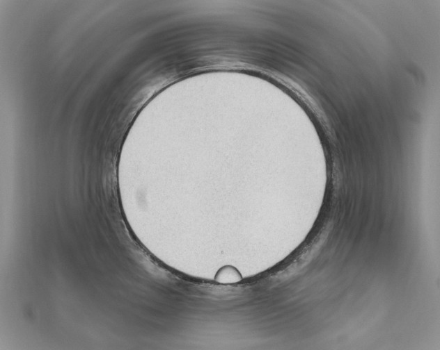 X0000110921289200907301554