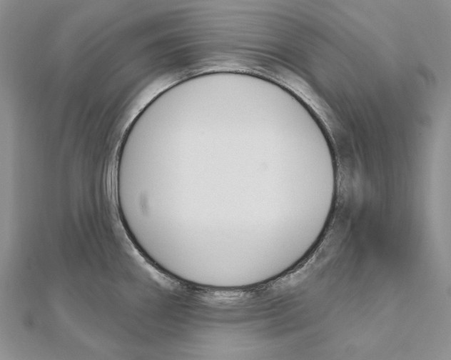 X0000110921290200907301554