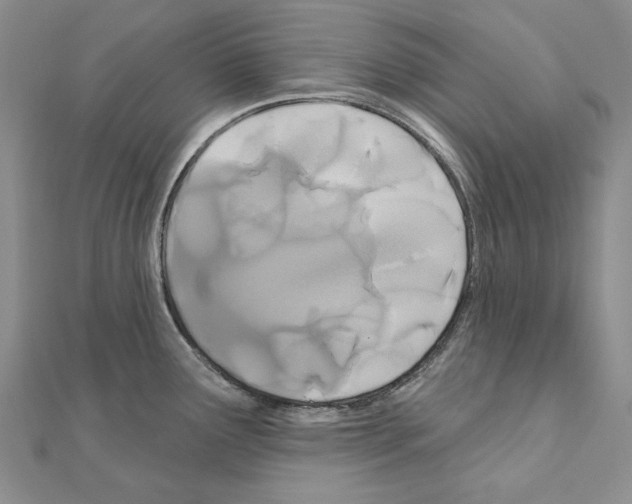 X0000110921291200907301554