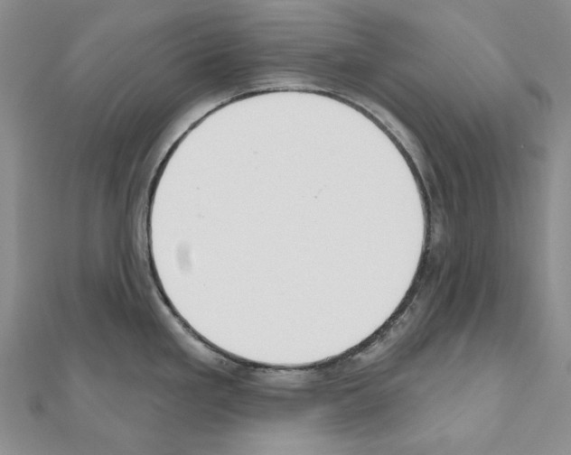 X0000110921293200907301554