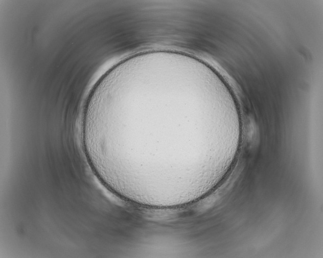 X0000110921294200907301554