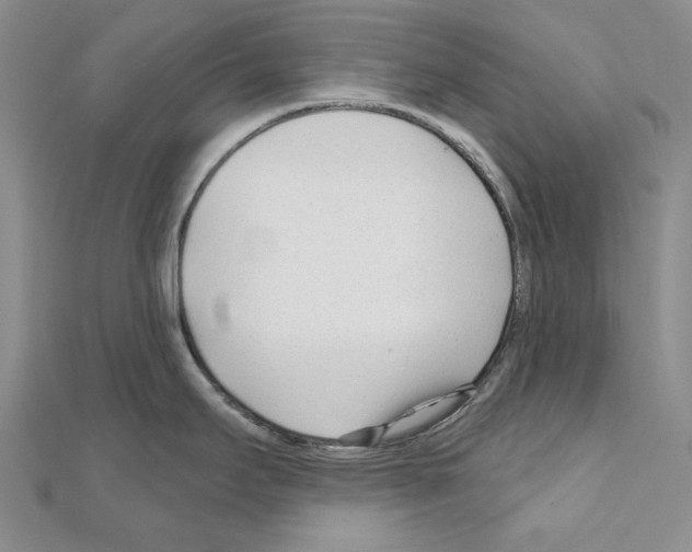 X0000110921295200907301554