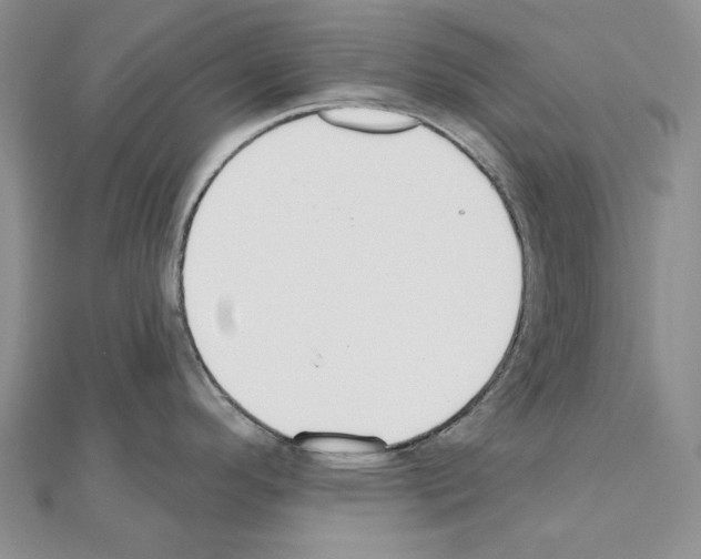 X0000110921296200907301554