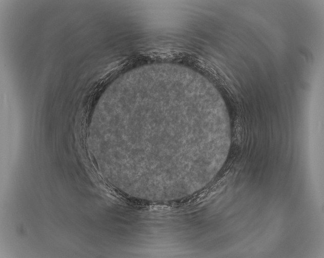 X0000110921297200907301554