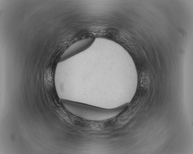 X0000110921298200907301554