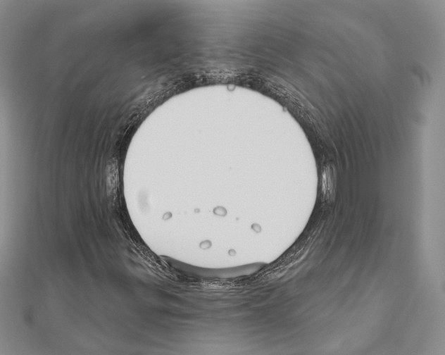 X0000110921299200907301554