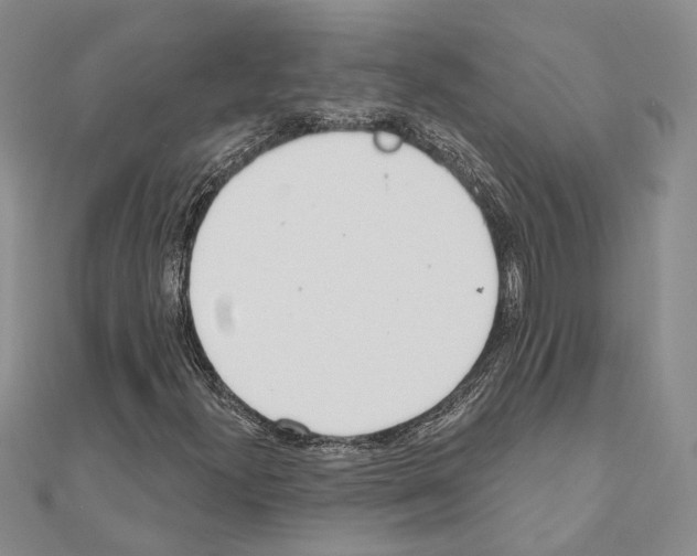 X0000110921300200907301554