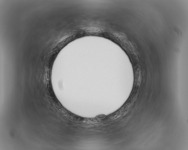 X0000110921301200907301554