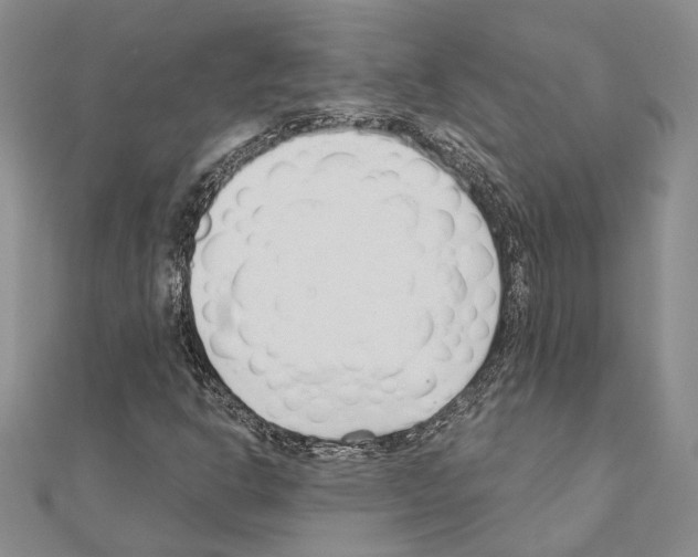 X0000110921302200907301554
