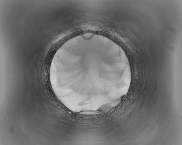 X0000110921303200907301554