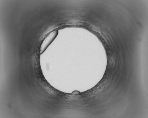 X0000110921304200907301554
