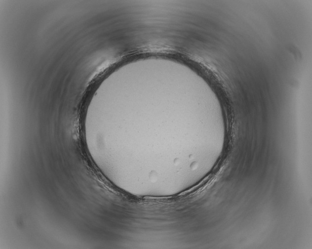 X0000110921306200907301554