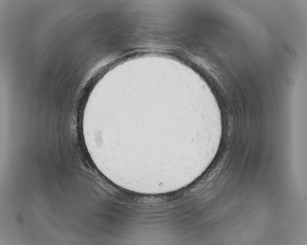 X0000110921307200907301554