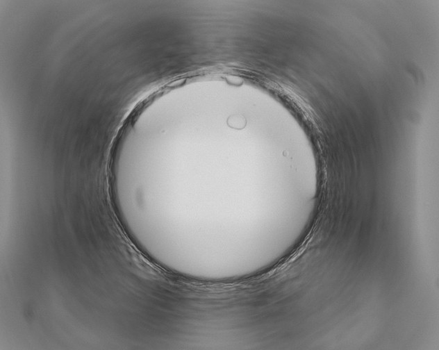 X0000110921308200907301554