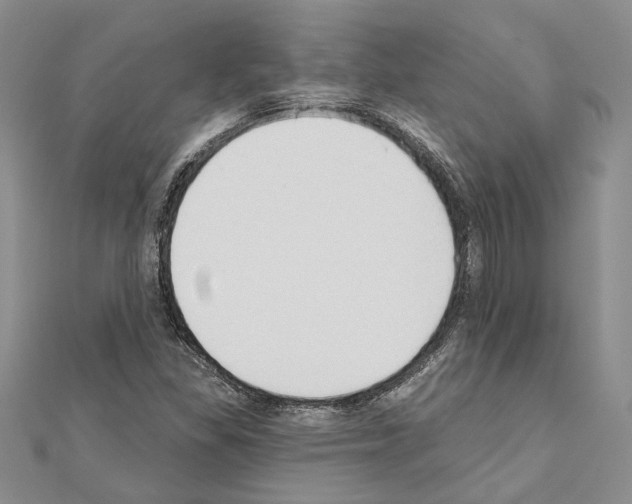 X0000110921309200907301554