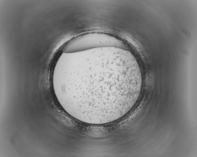 X0000110921310200907301554