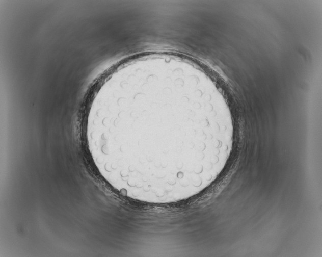 X0000110921311200907301554