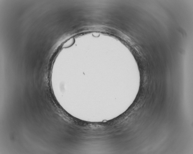 X0000110921312200907301554