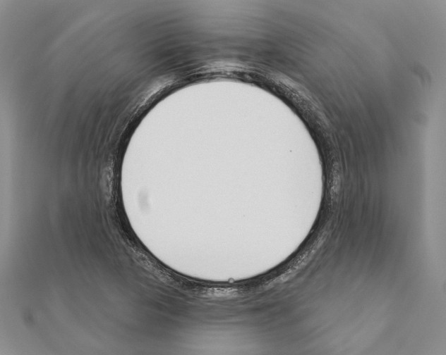 X0000110921313200907301554