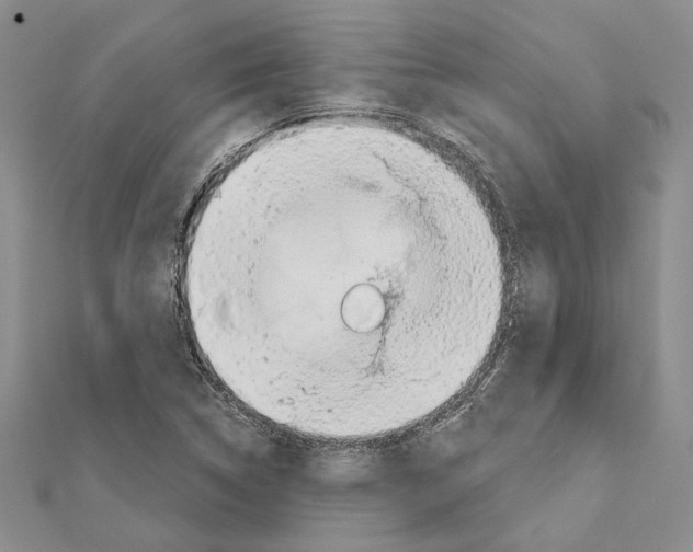 X0000110921314200907301554