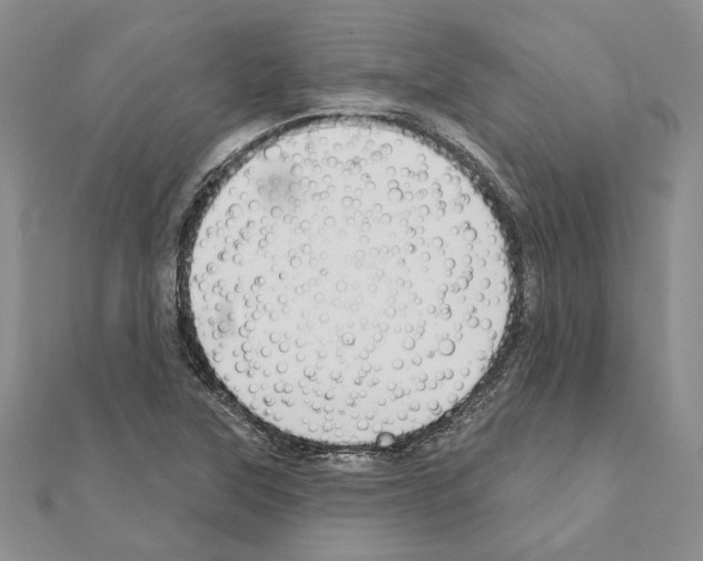 X0000110921315200907301554