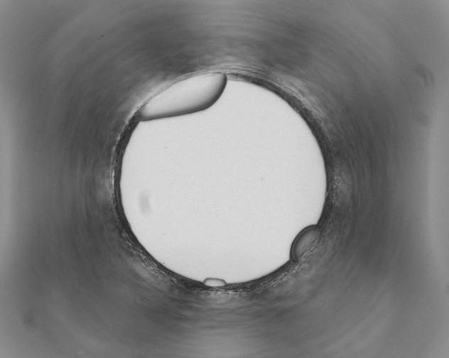 X0000110921316200907301554