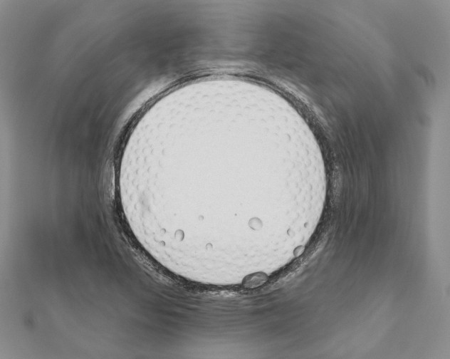 X0000110921317200907301554